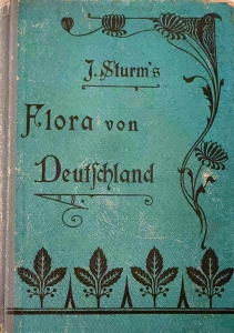 J.Sturm VOl.4  Flora von Deutschland 1905