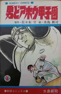 男どアホウ甲子園 14 (サンデー・コミックス)