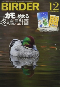 BIRDER 2022年 12 月号