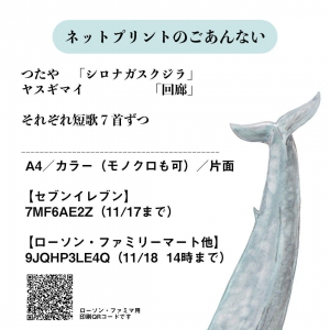 シロナガスクジラ／回廊