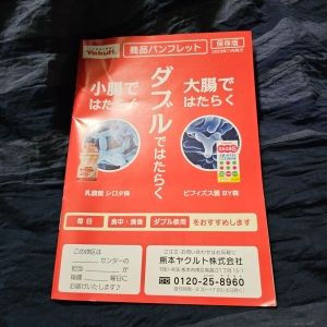 Yakult 商品パンフレット 保存版 2023年11月発行