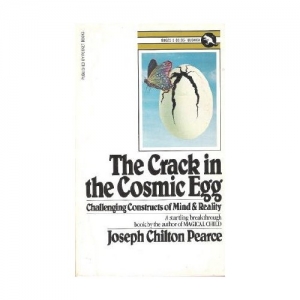 The Crack In the Cosmic Egg