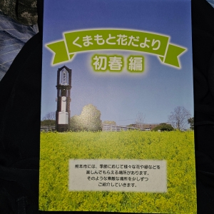 くまもと花だより 初春編』｜ネタバレありの感想・レビュー - 読書メーター