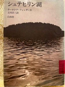 シュテヒリン湖(白水社)