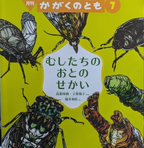 かがくのとも　こんちゅうのおとのせかい