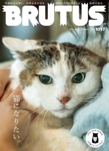 BRUTUS(ブルータス) 2024年 10月15日号 No.1017 [猫になりたい。] [雑誌]