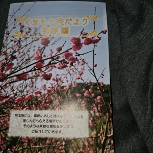 くまもと花だより 初春編 2025年1月発行