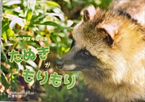 たぬきがもりもり