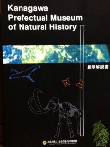 神奈川県立生命の星・地球博物館 展示解説書