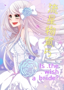 流星物質5 Is the wish a bride?