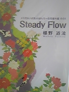 Steady Flow