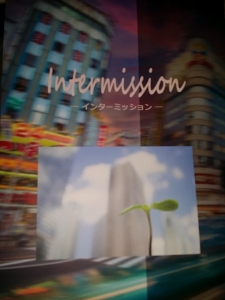 Ｉｎｔｅｒｍｉｓｓｉｏｎ－インターミッション－