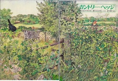 中古】カントリー・ヘッジ (1981年)
