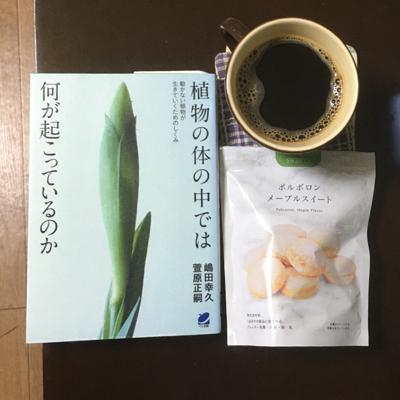 珈琲読書会 コンビニで目について買ったポルボロン メープルスイートをお茶うけに メープルが好きな人には超おススメ 読書メーター