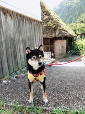 ぬわわーん 今回初 レポートに苦しみました なんとか書きましたが 不満というか不安が残る内容 一応明日の締め切りには間に合 読書メーター