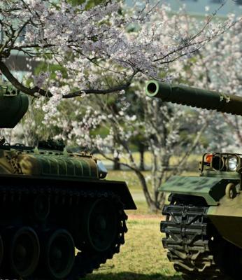 陸上自衛隊土浦駐屯地の桜。2022.4.5撮影。（空飛ぶ広報室を読んだので）。