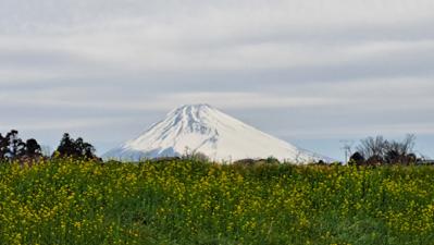 いつもナイスありがとうございます。3月1日の菜の花と富士山です🗻今月もよろしくお願いします☺2023年2月の読書メーター 読んだ本の数：28冊 読んだページ数：6595ページ ナイス数：864ナイス  ★先月に読んだ本一覧はこちら→ https://bookmeter.com/users/1043334/summary/monthly/2023/2
