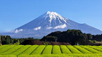 いつもナイスありがとうございます。富士山です🗻お茶の葉がキレイな黄緑色になってきました🎵2023年4月の読書メーター 読んだ本の数：30冊 読んだページ数：7613ページ ナイス数：879ナイス  ★先月に読んだ本一覧はこちら→ https://bookmeter.com/users/1043334/summary/monthly/2023/4
