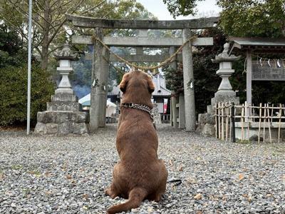 お賽銭も入れず、何願い事したんだ？