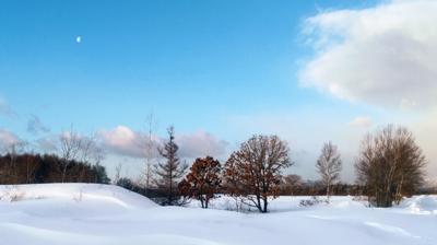おはようございます🎵(⁠◕⁠ᴗ⁠◕⁠✿⁠)昨晩から雪ちらつき朝には道路も真っ白に❄今日も素敵な１日になりますように🍀