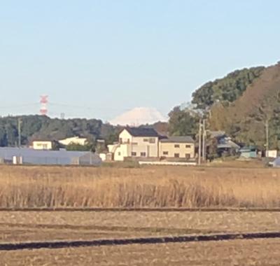 朝の散歩中、この千葉県我孫子市の手賀沼東部湖畔からでも富士山が覗くことを知った。
