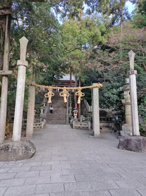 冬眠から目覚め、久々にお写ん歩。枚岡神社です！歩いた～🐈🐾🐾🐾