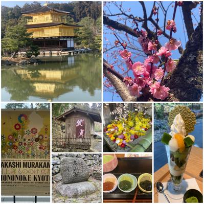週末に京都に行って来ました。桜🌸が早めに咲いたらいいな〜と思っていたのですが、今年は平年並みの開花になりそうですね😅代わりに北野天満宮の梅はまだまだ見頃、満開🌸楽しめました。高山寺は雨☔に降られてしまったけれど、村上隆展も見れたので満足💕