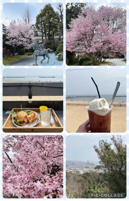 鉄拐山にハイキング🏃‍♀️

「この辺りの桜は散っている。4月になったら、沢山の人が桜を見に、須磨寺を訪れる。行ってみたら❓」とおじさんに話しかけられ、須磨寺に行ってみました。
濃いピンク色の桜が満開で、とても綺麗でした🥰🌸
おじさんに感謝😆😆