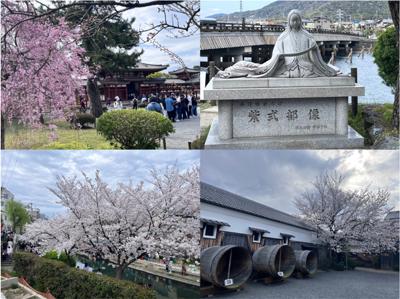 留学時代の友人（オーストラリア在住英国人）が大阪に来たので，宇治・平等院と伏見・酒蔵に行ってきました（実は，両方とも私も初めて）。どこも桜が満開で人でも多かった。