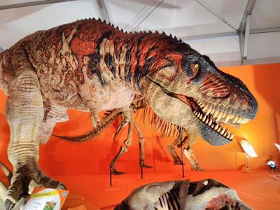 昨日はお台場の恐竜博に行ってきた。福井の恐竜博物館のコレクションの一部が来ていて、恐竜の脳函の中を型取りして脳の機能を調べる研究が面白いなぁと。哺乳類の脳とは形が全然違っていて、大きさも『テニスボール３個』とか言ってて、なるほどこれが原始的な脳ってやつか。平日なんでお子ちゃまを連れた家族連れが来ていて平和だったけど、ティラノのロボに泣き出す子どもも（笑）。そりゃこいつはヤバいよね（笑）。