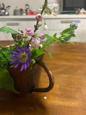 茶練の花✨ミヤコワスレ、勿忘草、ニワザクラ、スノードロップ