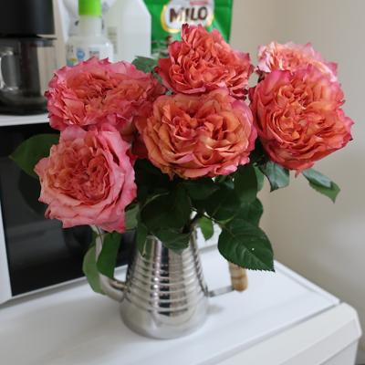 倉敷センター街のアロマブルームで大変にお買い得なバラをゲット。香りを吸い込みながら抱えるようにして帰ったけど、決して送別の花束などではございません。また明日から楽しいお仕事🥱