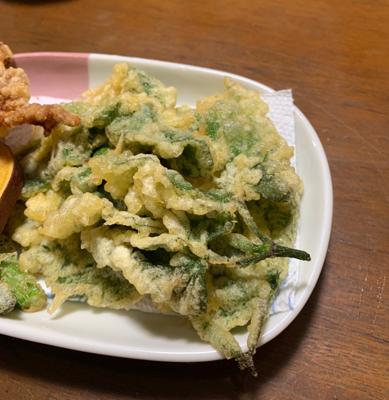 ウドをいただいたので葉っぱを天ぷらに。山菜の香りが春です。たけのこご飯とホタルイカでいただきます。