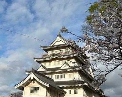 2024年4月の読書メーター 読んだ本の数：10冊 読んだページ数：1300ページ ナイス数：332ナイス  ★先月に読んだ本一覧はこちら→ https://bookmeter.com/users/756915/summary/monthly/2024/4
本業＋副業が忙しく、全然読めないままに終わった4月。皆様、いいねとコメントありがとうございます✨5月こそ自分の時間を充実させたい(*´꒳`*) 暖かくなってきたから、夕ごはんは適当に冷しゃぶとか焼き肉とかカレーでいいかな…笑