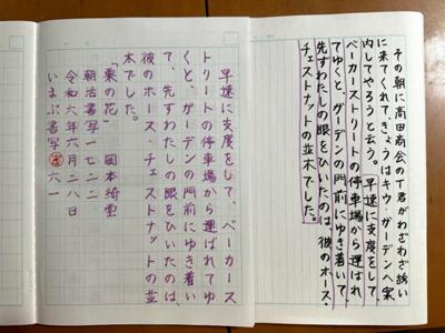 悪筆ぶりに折れそうになる心を必死で支える毎日
なんという修行か

お題をありがとうございます

『栗の花』岡本綺堂
#朝活書写 No.1722
#朝活書写_1722
#いまぷ書写 61