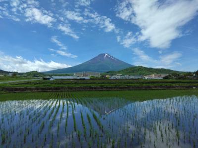 6月は「俺たちの箱根駅伝」「対決」が面白かった。藤井八冠が叡王戦で負けたのは衝撃だったが、同級生ライバルの出現で将棋界が盛り上がっていくのはいい事だ。今月もよろしくお願いします。
2024年6月の読書メーター 読んだ本の数：14冊 読んだページ数：4640ページ ナイス数：1234ナイス  ★先月に読んだ本一覧はこちら→ https://bookmeter.com/users/867712/summary/monthly/2024/6
