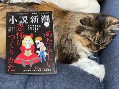 ソフィーさんが潰れて寝てたので読みかけの小説新潮を立て掛けてみた。
起きない。