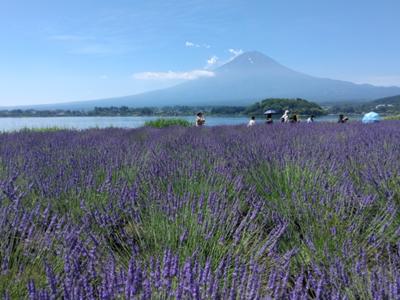 暑い7月だったが読書も熱い本に巡り合えた。「愚か者の石」「死んだ山田と教室」「ステイ！」が印象に残った。今月もよろしくお願いします。2024年7月の読書メーター 読んだ本の数：15冊 読んだページ数：4534ページ ナイス数：1296ナイス  ★先月に読んだ本一覧はこちら→ https://bookmeter.com/users/867712/summary/monthly/2024/7
