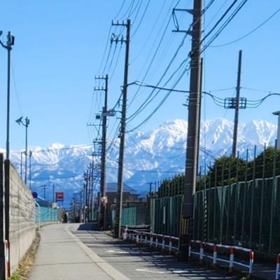 過日の内科医院診断の際、先生にあれこれ叱られた。食べ過ぎとも云われた。自覚の上では食事の量は増えてない。生活習慣の問題か。数日前より、一部の習慣を変えてみた。その効果が出てくるのは早くても一か月後か。もし、好ましい結果が出てきたら、ブログで報告する…かもしれない。