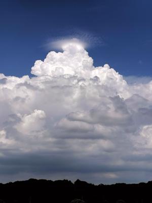 9月になっても台風の影響で東京は大雨で蒸し暑い！早く秋らしくと願っています。８月のベストは
「琥珀の夏」辻村深月でした。原田ひ香「古本食堂」向坂くじら「いなくなくならなくならないで」も良かった。読み友の皆さま、今月もよろしくお願いします ^⁠_⁠^
2024年8月の読書メーター 読んだ本の数：13冊 読んだページ数：3220ページ ナイス数：2890ナイス  ★先月に読んだ本一覧はこちら→ https://bookmeter.com/users/716247/summary/monthly/2024/8
