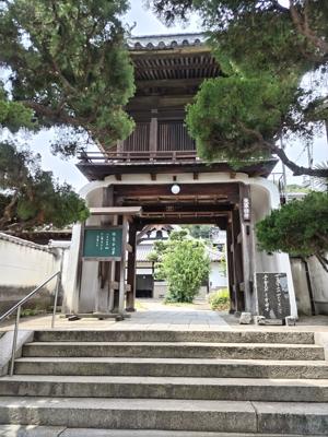 捻挫のため、どこにも行けない日々が続きます。写真は尾道の天寧寺の山門。近所なので子供時代は境内で遊んでいましたが、足利義詮寄進による開山、義満も泊まったことがあるのを知って、一人盛り上がりました。まだ残暑は厳しいですが、健康一番、ご自愛ください。今月もよろしくです♪

2024年8月の読書メーター 読んだ本の数：21冊 読んだページ数：2433ページ  ★先月に読んだ本一覧はこちら→ https://bookmeter.com/users/738317/summary/monthly/2024/8
