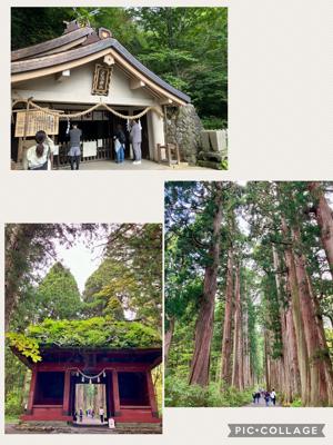 おはようございます。昨日、「戸隠神社⛩️五社巡り」をしてきました。画像は戸隠神社奥社です。参拝された方はご存知ですよね。参道入り口から奥社までの距離は片道２㎞くらいなんですが、緩やかな坂道と最後に待っている不規則な石段で、ちょっとした登山気分です。最後がきつかった！30年前に参拝した時は楽々だったのになあ😭たどり着いた奥社本殿はこじんまりしてますが、標高1300m。冷んやりして爽やか。行ってよかった！リフレッシュできました。皆様、良い１週間をお過ごしください。