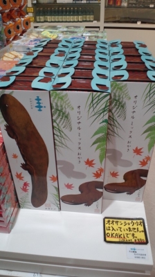 京都水族館のおみやげの一押しはどうやらオオサンショウウオ ぬいぐるみ 大 を買うと可愛いレジ係さんが声を揃えて オオサンシ 読書メーター