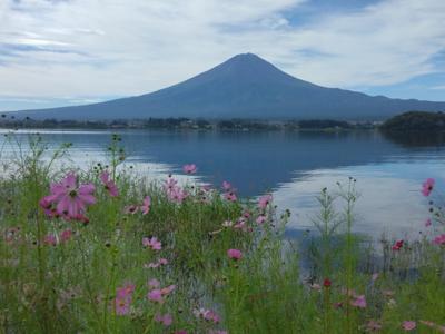 先週は能登の復興支援を兼ねて数年ぶりに金沢に旅した。美しい景色と美味し食べ物に感激。９月は「法廷占拠」「いつか月夜」がマイベスト。今月もよろしくお願いします。2024年9月の読書メーター 読んだ本の数：10冊 読んだページ数：3000ページ ナイス数：982ナイス  ★先月に読んだ本一覧はこちら→ https://bookmeter.com/users/867712/summary/monthly/2024/9
