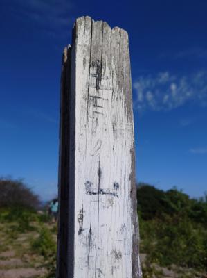 涼しくなったので、低山登山。最高に気持ち良くて、鬱々としてた心もすっきり！