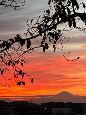 関西で生まれ育った者にとって「家から富士山」はすごい贅沢なのです。今日は特別な贅沢だわ。