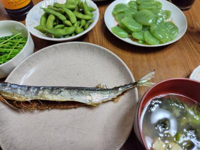 こんばんは。息子は帰って行きました。ちょっとほっとしました（笑）先日食べきれず冷凍しておいた餃子がちょうど1人分あり、息子達への作り置きおかずも少しだけあったので(こっそりと)次男の分まで長男に持たせました。ご飯は今夜から通常運転です。何故か緑系のご飯になりました。