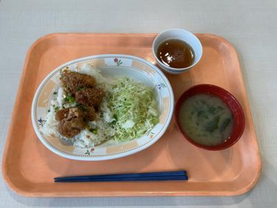 学食　唐揚げライス350円
唐揚げがサクサクでうまい。
僕がこの大学を選んだ理由の半分がこの唐揚げにあると言っても過言ではない。