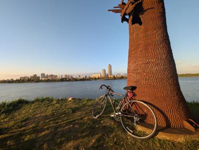 走るかどうか不安だったが快適🚲️