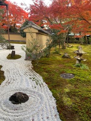 大徳寺「黄梅院」
仕事が早く終わって、気持ちがクサクサしてたから何となく庭を見に行った。利休凄い！